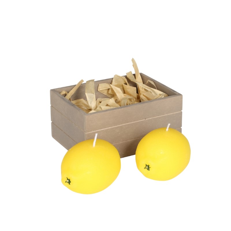 DULTON candle set of 2 B/Lemon